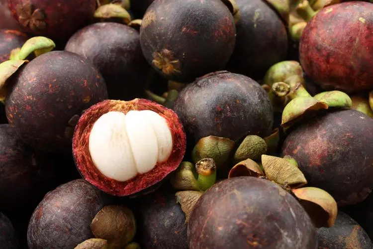 保鮮冷庫的正確貯藏方式 山竹如何長期保存?