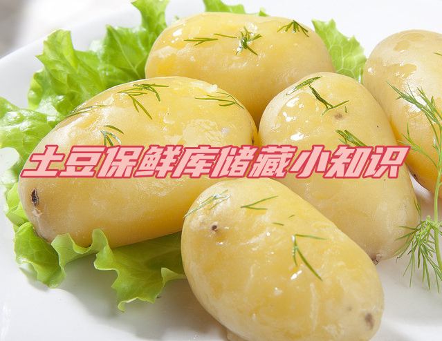土豆保鮮庫儲存方法解析,延長土豆保鮮期的秘訣