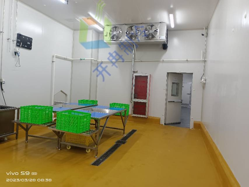 冷庫細分:多樣化的儲存解決方案