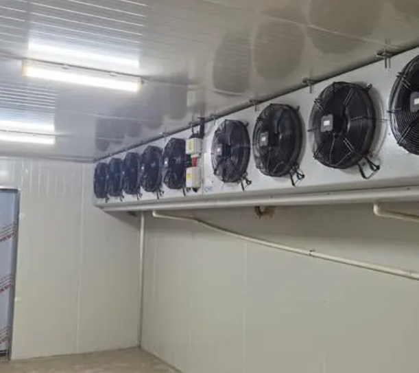 速凍冷庫的優(yōu)點有哪些?_上海開冉制冷