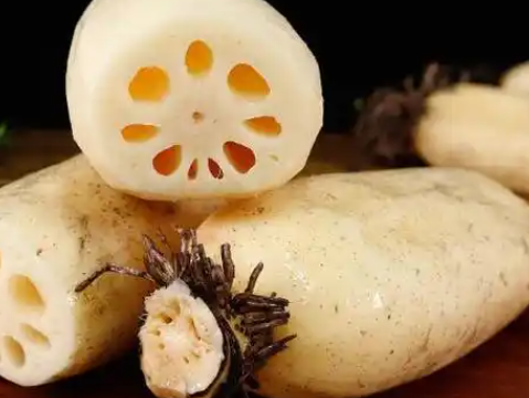 洪澤湖地區(qū)蓮藕冷庫設(shè)計(jì)要點(diǎn):鎖住水鄉(xiāng)鮮韻