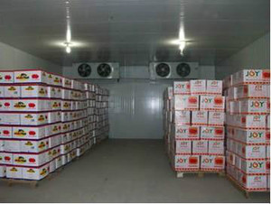 果蔬冷庫 果蔬冷庫