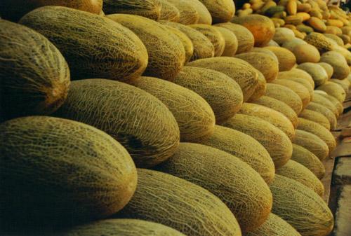 哈密瓜保鮮冷庫(kù)