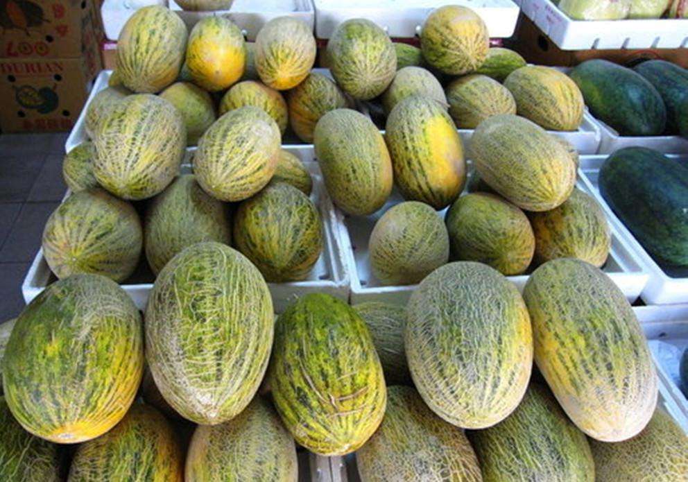 哈密瓜保鮮冷庫(kù)