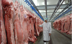 建造一個(gè)800平米禽肉冷庫(kù)工程造價(jià)需要多少錢