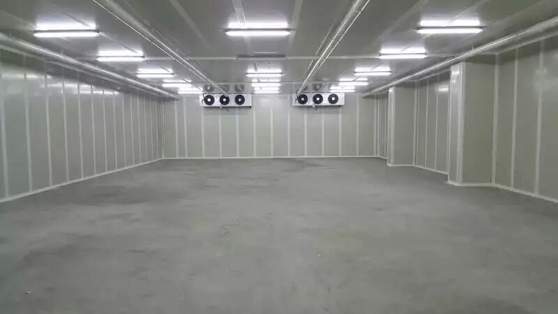 氣調保鮮冷庫 氣調保鮮冷庫