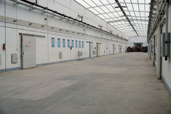 10000平米生鮮電商冷庫 10000平米生鮮電商冷庫