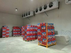 建造一個4000平方蘋果冷庫大概需要多少錢？