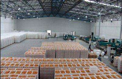 3000平米水果保鮮庫