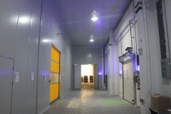 儲藏1000噸冷庫工程造價(jià)大概需要多少錢(上)