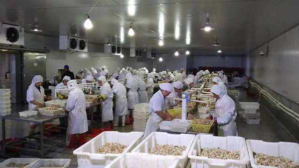 4000平高5米海鮮冷庫 4000平高5米海鮮冷庫