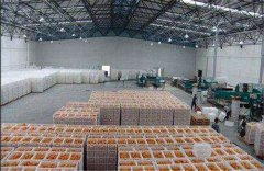 新建一個存放丑橘保鮮冷庫，大概需要多少造價？