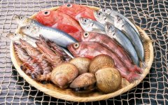 -25℃海鮮冷庫建造安裝，冷庫報價