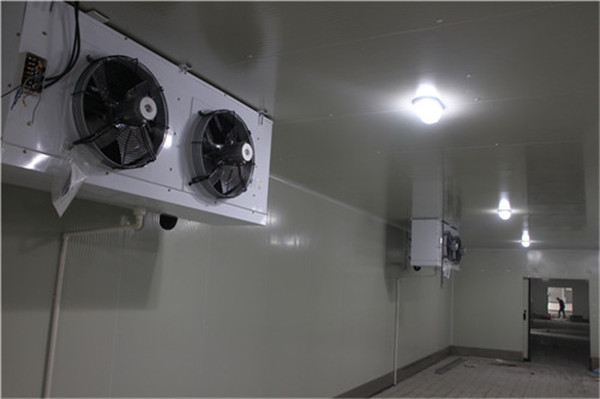 畜禽肉冷凍冷庫冷風(fēng)機