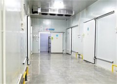 2020年冷庫值不值得投資？冷庫現(xiàn)狀如何？