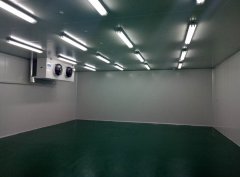 -18℃~-25℃海鮮冷凍庫前期規(guī)劃及建造成本預(yù)算多少