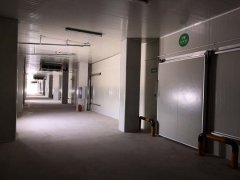 3000平米的食品多溫型冷庫哪些因素影響建造費用？