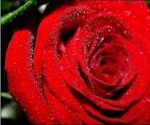 果蔬、鮮花氣調(diào)冷庫設(shè)計(jì)保鮮效果更好