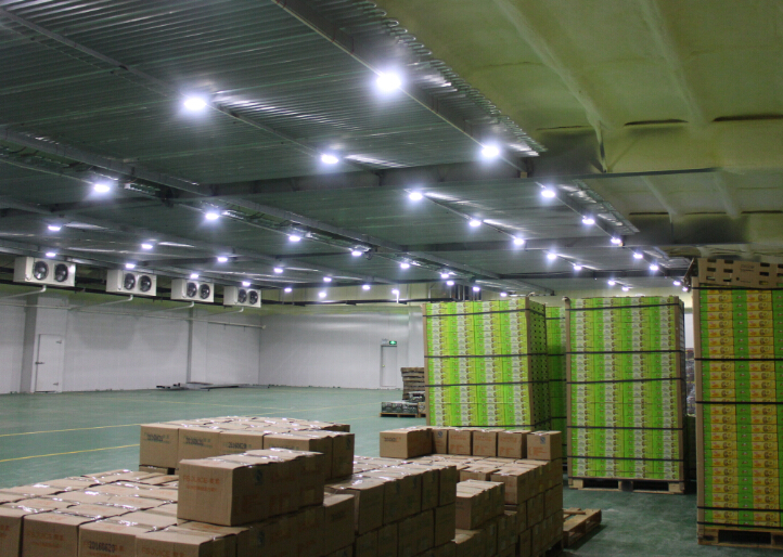 上海冷庫(kù)出租