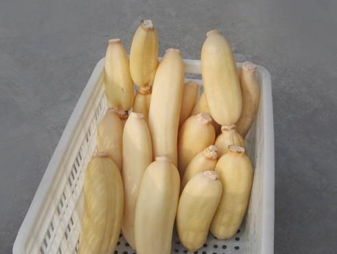 100噸的蓮藕怎么保鮮，蓮藕保鮮庫設計及造價