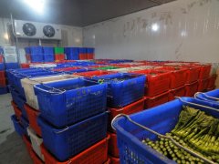 武漢7000立方米果蔬冷庫(kù)安裝需要多少錢？