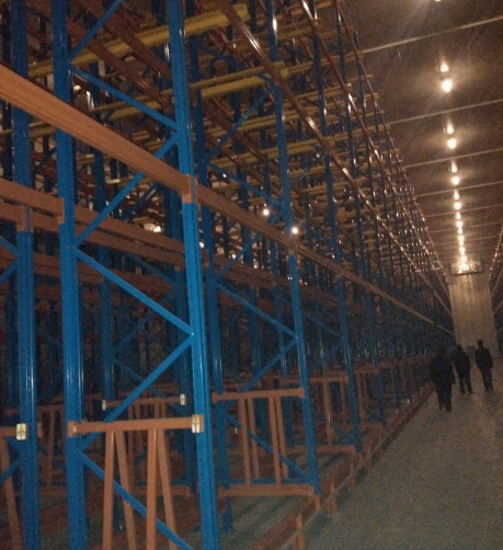 7000平生鮮水果冷庫建設(shè)方案,冷庫怎么設(shè)計報價?