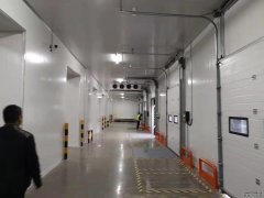 食品批發(fā)冷庫造價及規(guī)劃、食品保鮮、冷凍庫加工廠庫建造