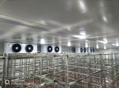 冷凍庫造價一平米價格怎么算？凍庫一立方的造價是多少錢